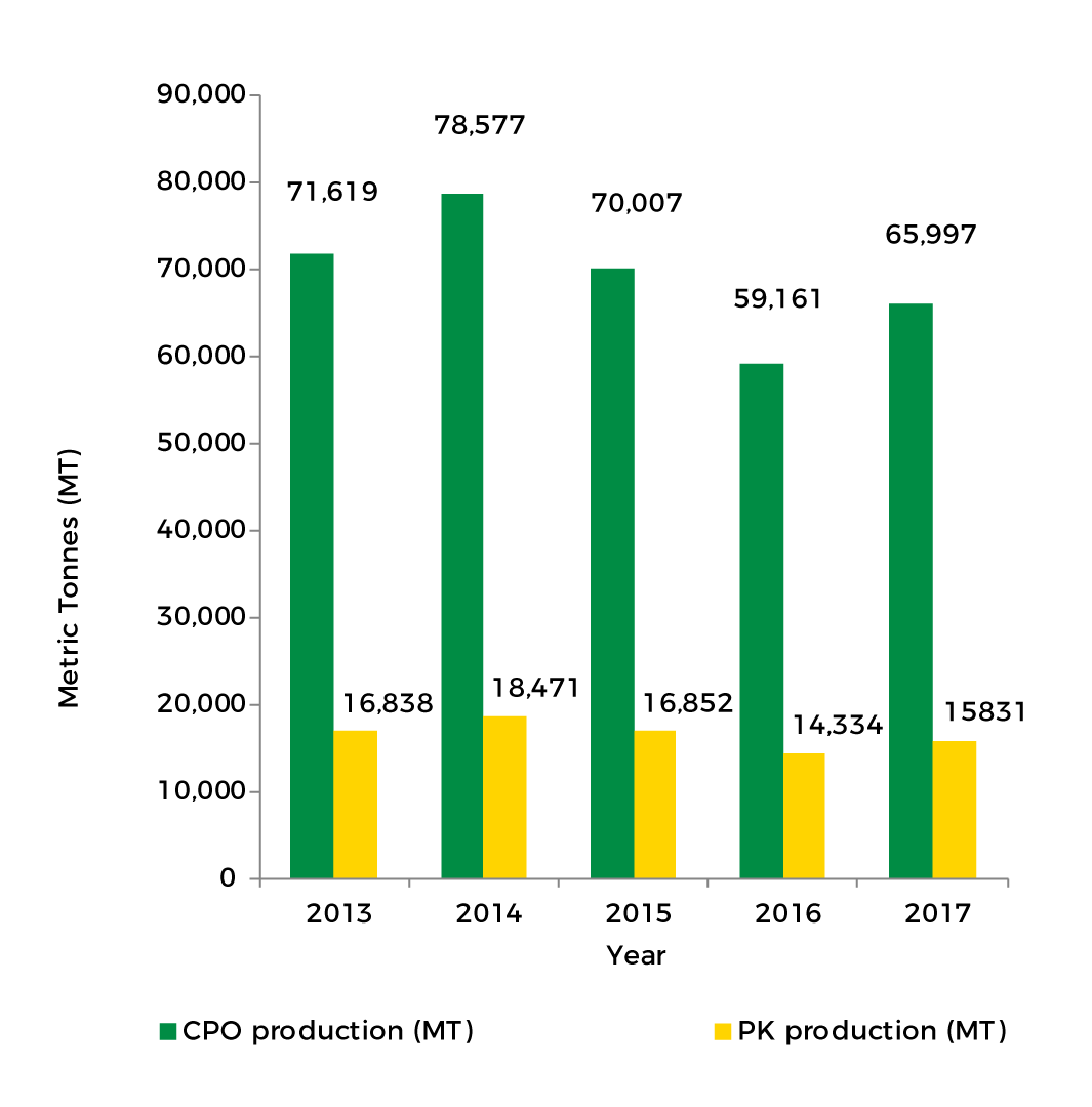 CRUDE-PALM-OIL(CPO)