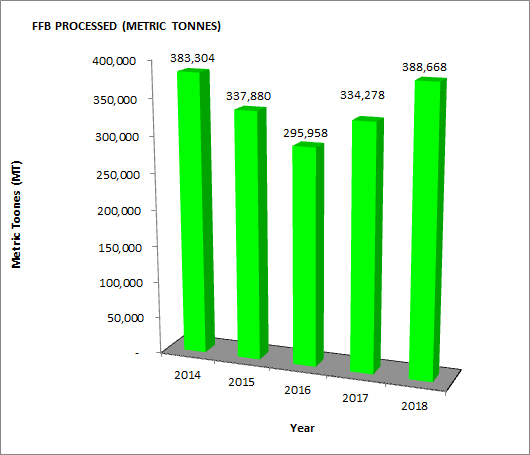 FFB PROCESS