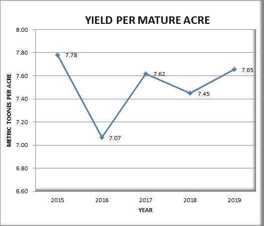 Yield Per mature Acres