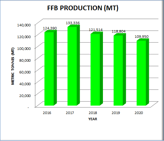 FFB Production 2020