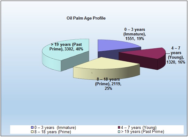 Oil Palm Age Profile 2020