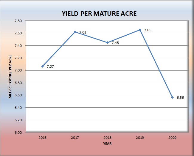 Yield Per Mature acre 2020