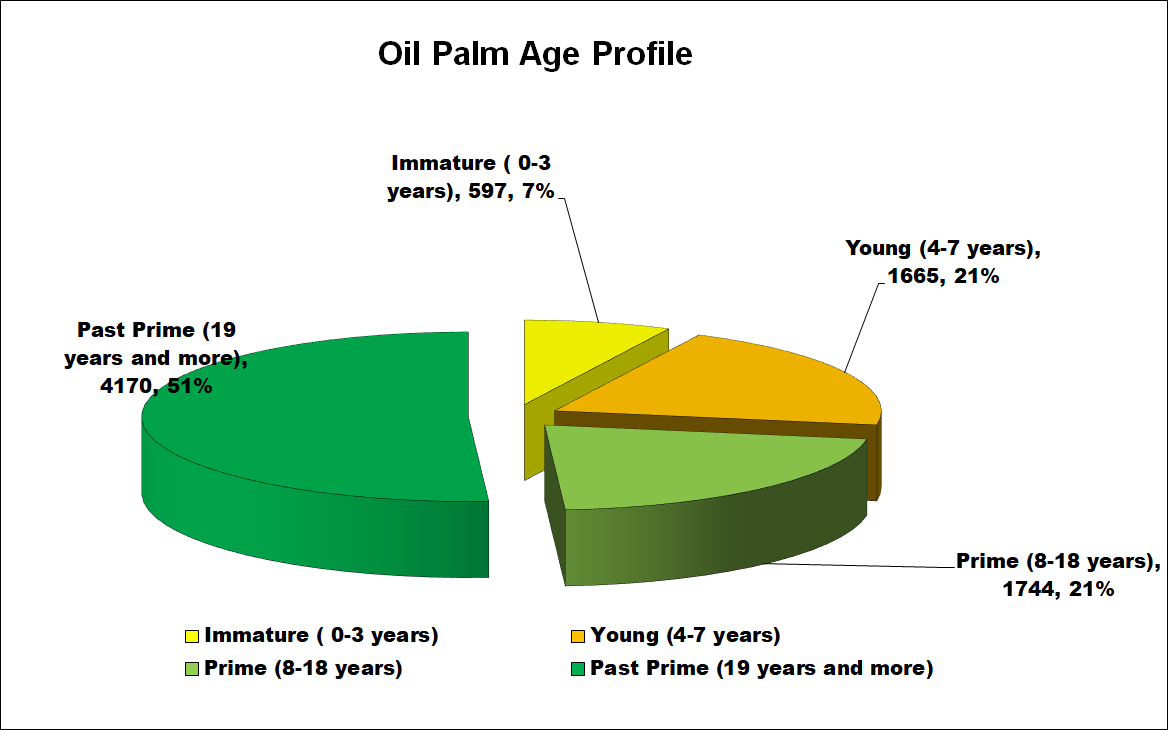 Oil Palm Age Profile
