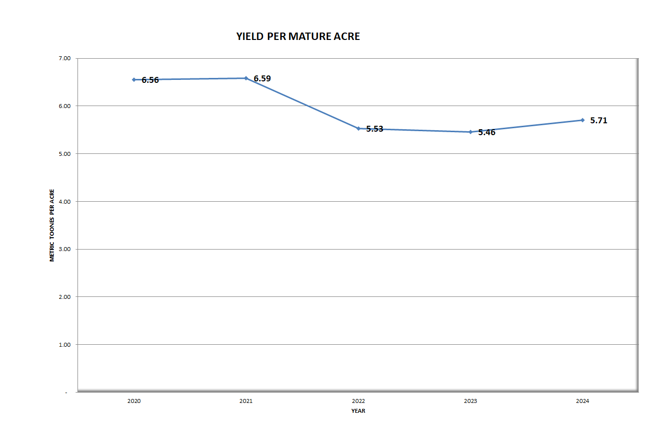 Yield Per Mature acres